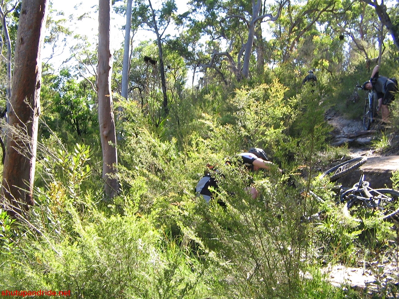 20070218-Mooney 175 